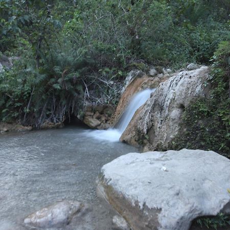 Perfect Stayz Premium Forest Valley Near Waterfall Rishīkesh Extérieur photo