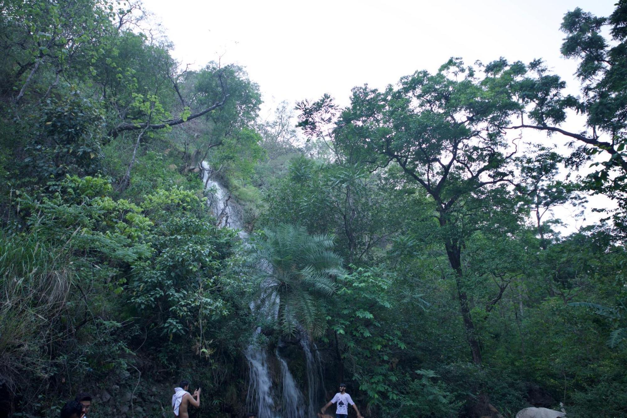 Perfect Stayz Premium Forest Valley Near Waterfall Rishīkesh Extérieur photo
